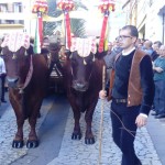 Su carru de Santu Matheu